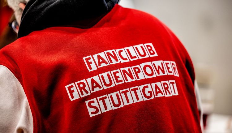 VfB TV | Neuer Cheftrainer Nico Schneck im Gespräch