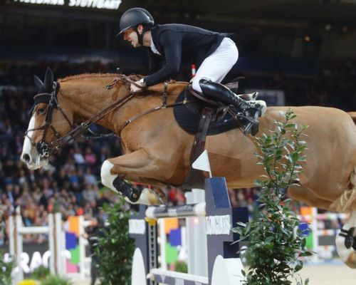 Pferdesport | Reitturnier findet im Jahr 2020 nicht statt