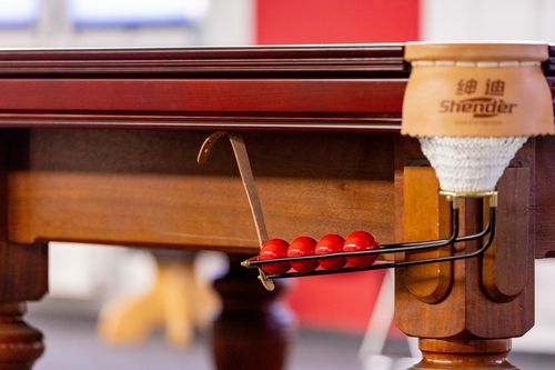 VIELFALT DES SPORTS | Folge 50: Billard