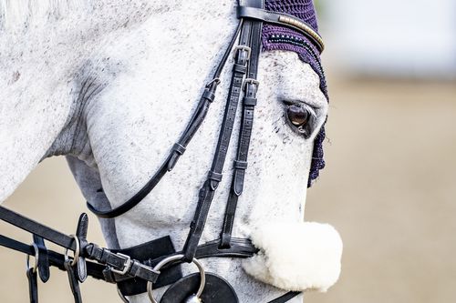 VIELFALT DES SPORTS | Folge 19: Springreiten