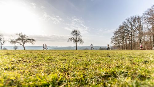 VIELFALT DES SPORTS | Folge 12: Volkslauf