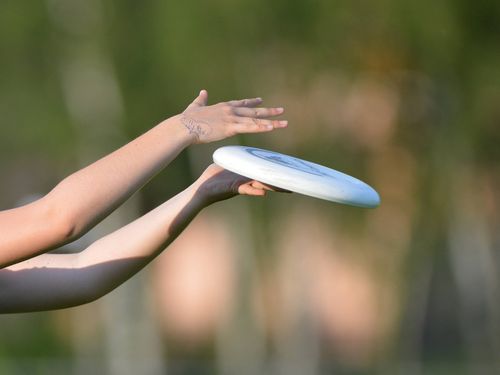 Ultimate Frisbee | Gemmrigheim verteidigt den Titel