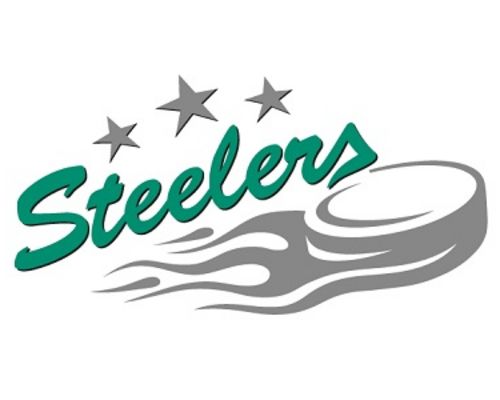 Eishockey | Steelers-Fanfest fällt aus