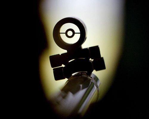 Verbandstage | Deutscher Schützentag in Schwäbisch Gmünd