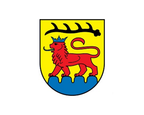 Vaihingen an der Enz | Bedarfsanalyse des Schwimmsports 