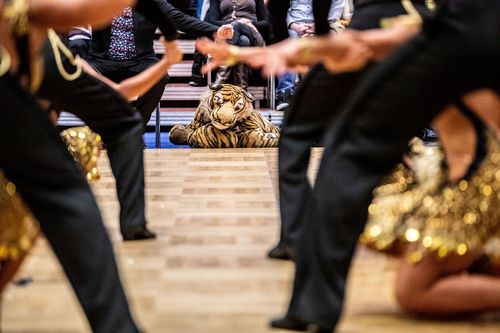 VIELFALT DES SPORTS | Folge 5: Tanzen