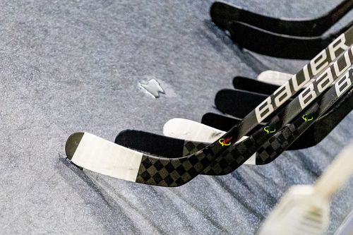 VIELFALT DES SPORTS | Folge 40: Eishockey