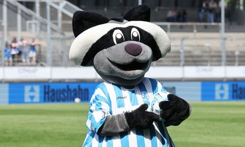 Waldi ist das Maskottchen der Stuttgarter Kickers. | Foto: Pressefoto Baumann Maskottchenparade | Folge 9: Waldi