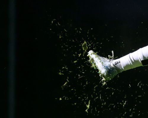 DOSB | Mitgliederrekord im deutschen Sport