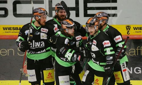 Eishockey | Die Steelers erhalten die DEL-Lizenz