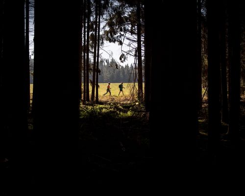 STARK FÜRS KLIMA | Folge 2: Sport im Wald