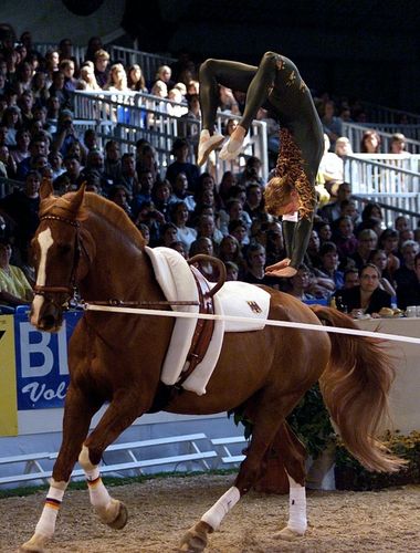 MEIN MOMENT | 20 Jahre im Dienste des WPSV