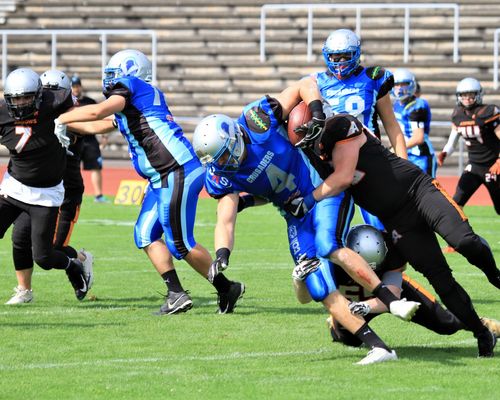 American Football | Silver Arrows empfangen Crusaders