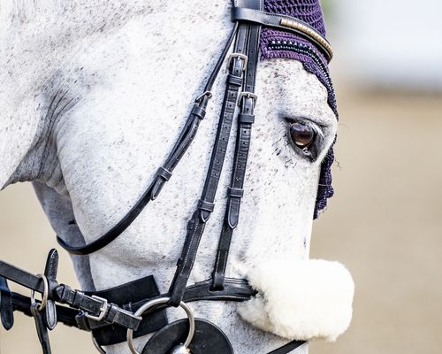 Event der Woche 34 | Vier Tage und 41 Wettbewerbe