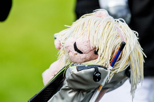 Golf | BWGV gewinnt Gold und Silber beim Länderpokal