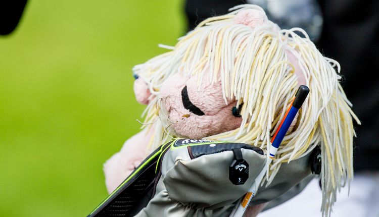 Golf | BWGV gewinnt Gold beim Länderpokal