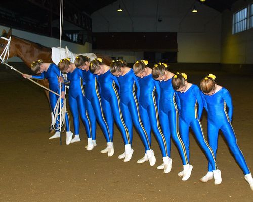 Jubiläum | Der Stuttgarter Reit- und Fahrverein wird 100