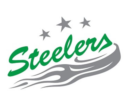 Eishockey | Dück übernimmt die Cheftrainerposition