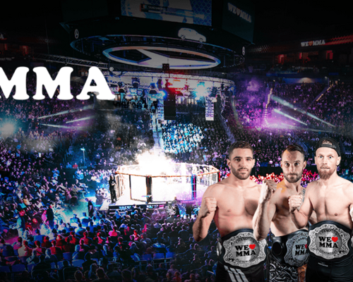 Kampfsport | WE LOVE MMA am 28. Oktober
