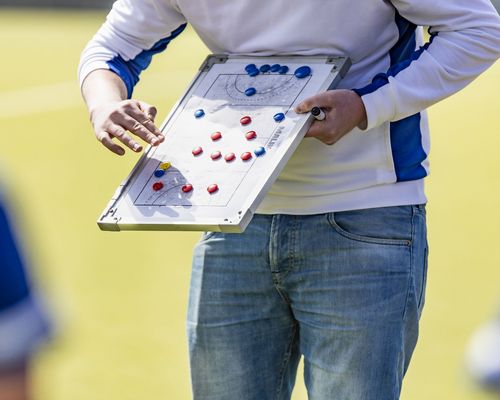 Freiwilligendienste im Sport | Erneute Rekordzahl 