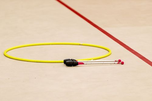 Foto: Benjamin Lau Rhythmische Sportgymnastik | Maier folgt auf Igel