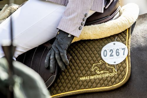 VIELFALT DES SPORTS | Folge 19: Springreiten