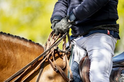 VIELFALT DES SPORTS | Folge 19: Springreiten