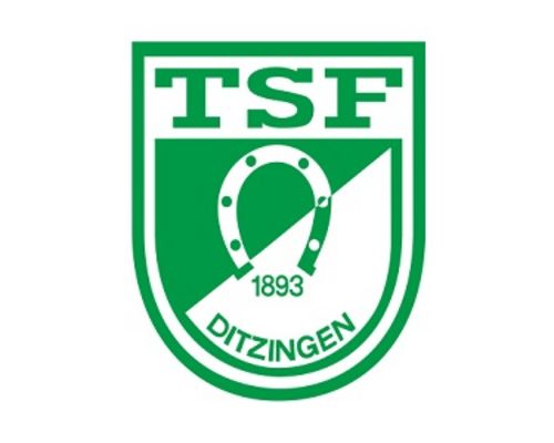 Personalie | TSF Ditzingen bekommen einen Geschäftsführer