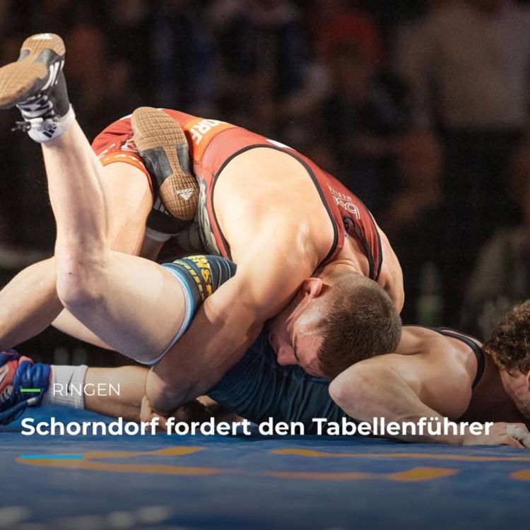🤼‍♂️ RINGEN 🤼‍♂️ Schorndorf fordert den Tabellenführer