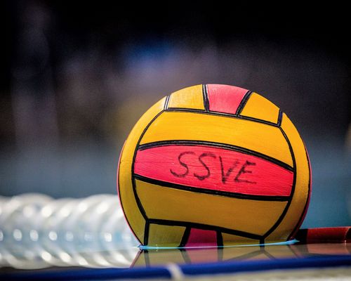 Wasserball | SSV Esslingen baut auf Trainer-Trio