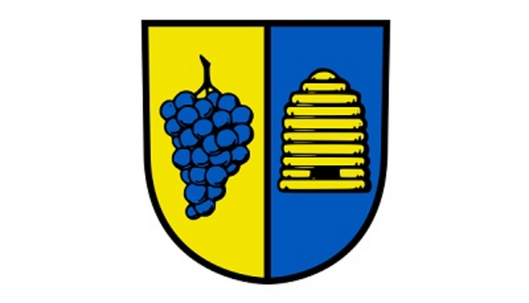 Korb | SattelFEST am Hanweiler Sattel