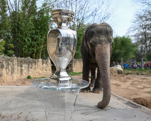 EURO 2024 Stuttgart | Der Pokal ist da