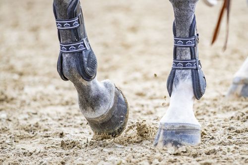 VIELFALT DES SPORTS | Folge 19: Springreiten