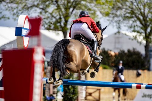 VIELFALT DES SPORTS | Folge 19: Springreiten