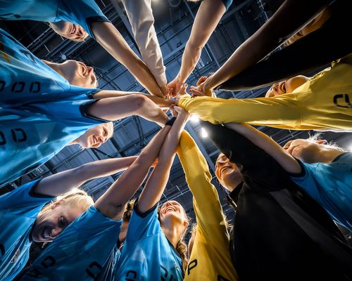 Handball | Verschmelzung ist beschlossene Sache