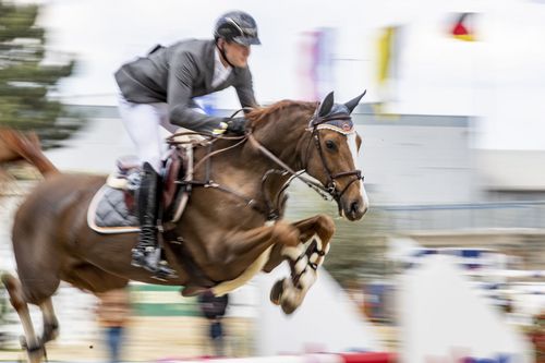 VIELFALT DES SPORTS | Folge 19: Springreiten