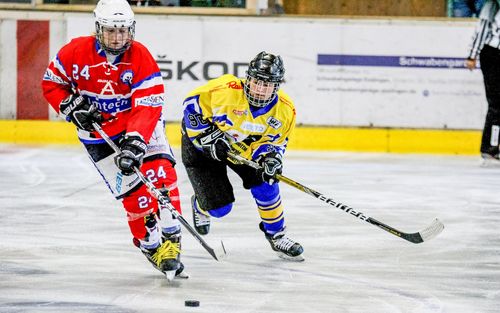 VIELFALT DES SPORTS | Folge 40: Eishockey