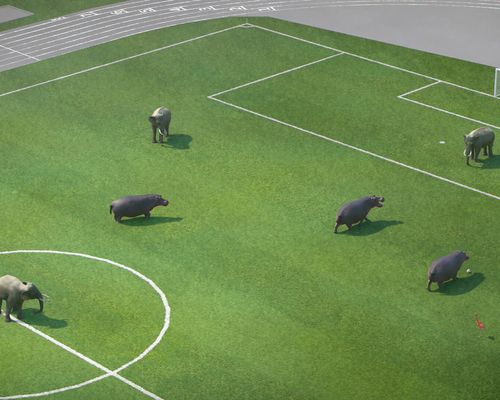 Kooperation | Bofinger kuratiert Filmprogramm