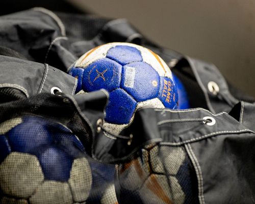 Auszeichnung | Der Handball dominiert die Gala