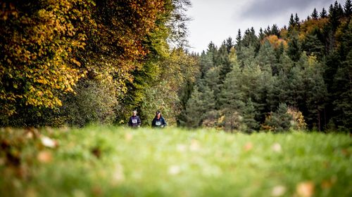 VIELFALT DES SPORTS | Nordic Walking