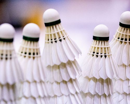 Badminton | Schorndorfer Doppel schnappt sich den Titel