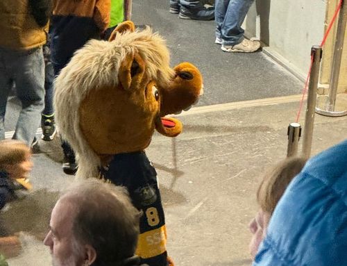 Das Pferd als Wappentier von Stuttgart passt offensichtlich auch sehr gut zu den Puckjägern von der Waldau. | Foto: Leo Lobinger Maskottchenparade | Folge 12: Pferdinand