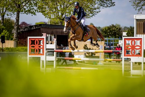 VIELFALT DES SPORTS | Folge 19: Springreiten