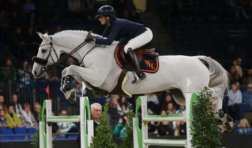 Vom 15. bis 19. November 2023 trifft die Elite des internationalen Pferdesports in der Hanns-Martin-Schleyer-Halle aufeinander. | Foto: Pressefoto Baumann Event der Woche | Internationale Pferdesport-Elite kommt