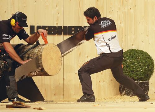 Waiblingen | Professionelles Sportholzfällen