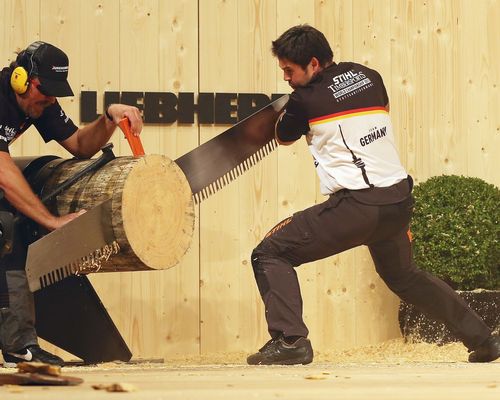 Waiblingen | Professionelles Sportholzfällen