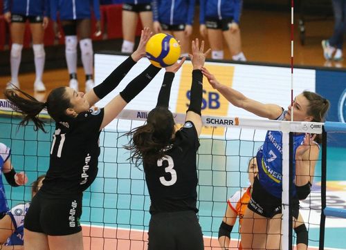 Volleyball | Stuttgart startet gegen Erfurt in die neue Runde