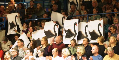 Auf dem Bild zu sehen ist der Schwarze Schwan, passend zur Musik der Standard-Formation des 1. TC Ludwigsburg. | Foto: Pressefoto Baumann Tanzen | Ludwigsburg holt Silber, Bietigheim Bronze