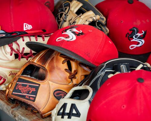 SWR Sport | Stuttgart Reds hoffen auf Baseball-Boom