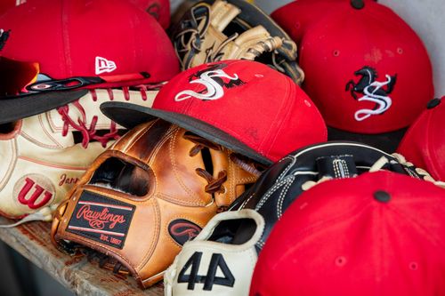 Das umgebaute Stadion der Stuttgart Reds erstrahlt in neuem Glanz. | Foto: IMAGO / Eibner SWR Sport | Stuttgart Reds hoffen auf Baseball-Boom